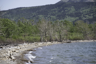 Filename=DSC_0287.jpg
Filesize=27553KiB
Dimensions=7360x4912
Date added=Sep 20, 2019 DSC_0287.jpg