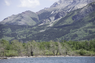 Filename=DSC_0288.jpg
Filesize=21872KiB
Dimensions=7360x4912
Date added=Sep 20, 2019 DSC_0288.jpg