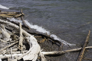 Filename=DSC_0289.jpg
Filesize=22142KiB
Dimensions=7360x4912
Date added=Sep 20, 2019 DSC_0289.jpg