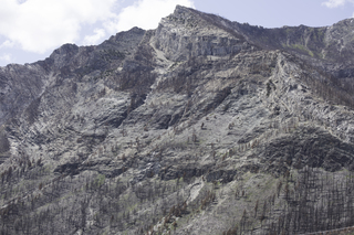 Filename=DSC_0293.jpg
Filesize=25988KiB
Dimensions=7360x4912
Date added=Sep 20, 2019 DSC_0293.jpg