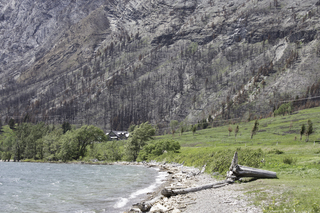 Filename=DSC_0294.jpg
Filesize=28182KiB
Dimensions=7360x4912
Date added=Sep 20, 2019 DSC_0294.jpg