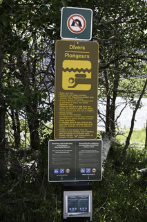 Filename=DSC_0302.jpg
Filesize=16664KiB
Dimensions=4912x7360
Date added=Sep 20, 2019 DSC_0302.jpg