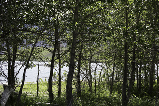 Filename=DSC_0303.jpg
Filesize=21414KiB
Dimensions=7360x4912
Date added=Sep 20, 2019 DSC_0303.jpg