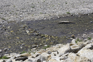 Filename=DSC_0307.jpg
Filesize=29180KiB
Dimensions=7360x4912
Date added=Sep 20, 2019 DSC_0307.jpg