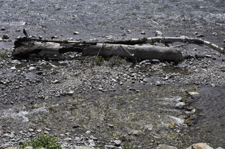 Filename=DSC_0312.jpg
Filesize=32315KiB
Dimensions=7360x4912
Date added=Sep 20, 2019 DSC_0312.jpg