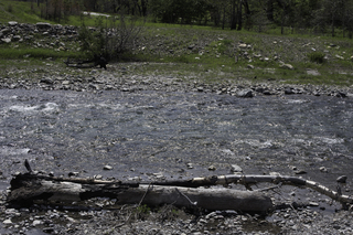 Filename=DSC_0313.jpg
Filesize=28616KiB
Dimensions=7360x4912
Date added=Sep 20, 2019 DSC_0313.jpg