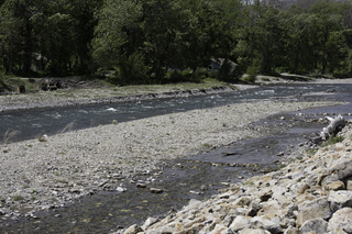 Filename=DSC_0315.jpg
Filesize=26370KiB
Dimensions=7360x4912
Date added=Sep 20, 2019 DSC_0315.jpg