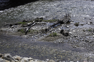 Filename=DSC_0318.jpg
Filesize=31474KiB
Dimensions=7360x4912
Date added=Sep 20, 2019 DSC_0318.jpg