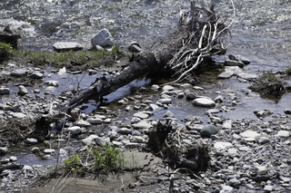 Filename=DSC_0319.jpg
Filesize=26012KiB
Dimensions=7360x4912
Date added=Sep 20, 2019 DSC_0319.jpg