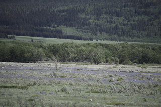 Filename=DSC_0331.jpg
Filesize=21733KiB
Dimensions=7360x4912
Date added=Sep 20, 2019 DSC_0331.jpg