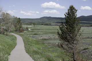 Filename=DSC_0332.jpg
Filesize=24440KiB
Dimensions=7360x4912
Date added=Sep 20, 2019 DSC_0332.jpg