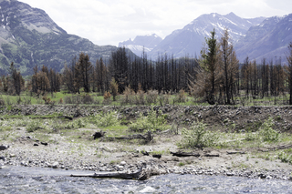 Filename=DSC_0342.jpg
Filesize=25077KiB
Dimensions=7360x4912
Date added=Sep 20, 2019 DSC_0342.jpg