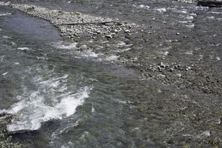 Filename=DSC_0344.jpg
Filesize=28118KiB
Dimensions=7360x4912
Date added=Sep 20, 2019 DSC_0344.jpg