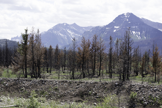 Filename=DSC_0362.jpg
Filesize=24337KiB
Dimensions=7360x4912
Date added=Sep 20, 2019 DSC_0362.jpg