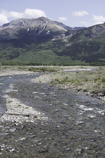 Filename=DSC_0371.jpg
Filesize=22733KiB
Dimensions=4912x7360
Date added=Sep 20, 2019 DSC_0371.jpg