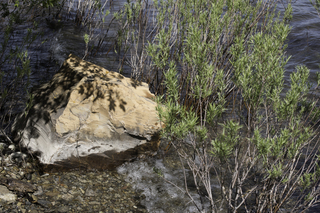 Filename=DSC_0431.jpg
Filesize=23967KiB
Dimensions=7360x4912
Date added=Sep 20, 2019 DSC_0431.jpg