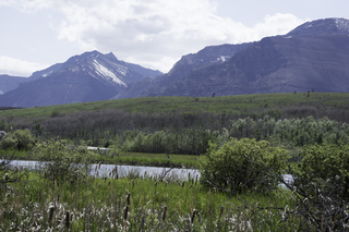 Filename=DSC_0456.jpg
Filesize=18828KiB
Dimensions=7360x4912
Date added=Sep 20, 2019 DSC_0456.jpg