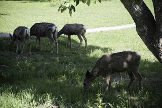 Filename=DSC_0474.jpg
Filesize=17931KiB
Dimensions=7360x4912
Date added=Sep 20, 2019 DSC_0474.jpg