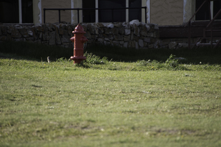 Filename=DSC_0634.jpg
Filesize=19119KiB
Dimensions=7360x4912
Date added=Sep 20, 2019 DSC_0634.jpg