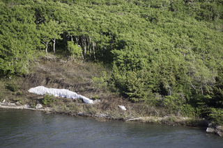 Filename=DSC_0635.jpg
Filesize=32786KiB
Dimensions=7360x4912
Date added=Sep 20, 2019 DSC_0635.jpg