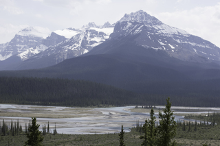 Filename=DSC_1132.jpg
Filesize=19383KiB
Dimensions=7360x4912
Date added=Sep 20, 2019 DSC_1132.jpg