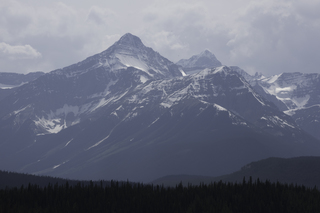 Filename=DSC_1138.jpg
Filesize=16942KiB
Dimensions=7360x4912
Date added=Sep 20, 2019 DSC_1138.jpg