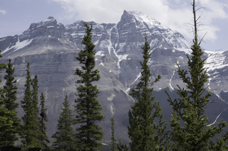 Filename=DSC_1148.jpg
Filesize=21700KiB
Dimensions=7360x4912
Date added=Sep 20, 2019 DSC_1148.jpg