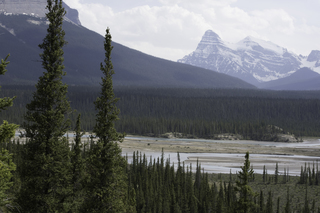 Filename=DSC_1149.jpg
Filesize=20425KiB
Dimensions=7360x4912
Date added=Sep 20, 2019 DSC_1149.jpg