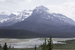 Filename=DSC_1152.jpg
Filesize=18535KiB
Dimensions=7360x4912
Date added=Sep 20, 2019 DSC_1152.jpg