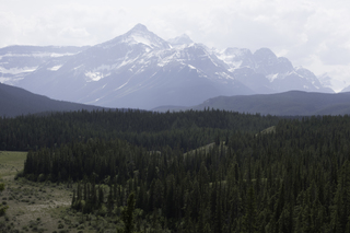 Filename=DSC_1153.jpg
Filesize=16482KiB
Dimensions=7360x4912
Date added=Sep 20, 2019 DSC_1153.jpg