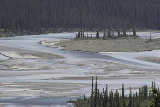 Filename=DSC_1154.jpg
Filesize=25079KiB
Dimensions=7360x4912
Date added=Sep 20, 2019 DSC_1154.jpg