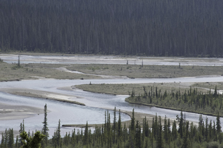 Filename=DSC_1155.jpg
Filesize=26595KiB
Dimensions=7360x4912
Date added=Sep 20, 2019 DSC_1155.jpg