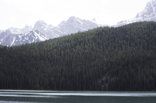 Filename=DSC_1160.jpg
Filesize=20503KiB
Dimensions=7360x4912
Date added=Sep 20, 2019 DSC_1160.jpg