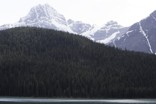 Filename=DSC_1161.jpg
Filesize=19392KiB
Dimensions=7360x4912
Date added=Sep 20, 2019 DSC_1161.jpg