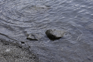 Filename=DSC_1169.jpg
Filesize=27695KiB
Dimensions=7360x4912
Date added=Sep 20, 2019 DSC_1169.jpg