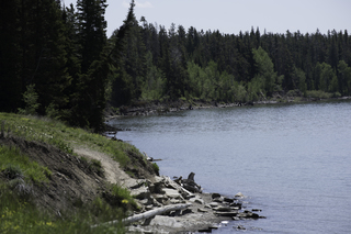 Filename=DSC_1192.jpg
Filesize=19544KiB
Dimensions=7360x4912
Date added=Sep 20, 2019 DSC_1192.jpg