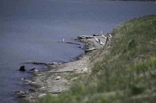 Filename=DSC_1196.jpg
Filesize=17670KiB
Dimensions=7360x4912
Date added=Sep 20, 2019 DSC_1196.jpg