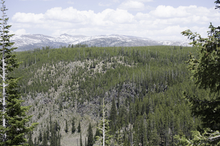 Filename=DSC_1203.jpg
Filesize=24982KiB
Dimensions=7360x4912
Date added=Sep 20, 2019 DSC_1203.jpg