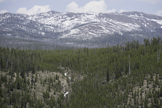 Filename=DSC_1205.jpg
Filesize=26252KiB
Dimensions=7360x4912
Date added=Sep 20, 2019 DSC_1205.jpg