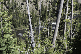 Filename=DSC_1208.jpg
Filesize=25410KiB
Dimensions=7360x4912
Date added=Sep 20, 2019 DSC_1208.jpg