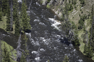 Filename=DSC_1209.jpg
Filesize=26767KiB
Dimensions=7360x4912
Date added=Sep 20, 2019 DSC_1209.jpg