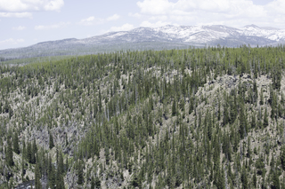 Filename=DSC_1214.jpg
Filesize=27909KiB
Dimensions=7360x4912
Date added=Sep 20, 2019 DSC_1214.jpg