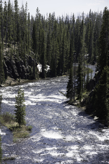 Filename=DSC_1218.jpg
Filesize=25982KiB
Dimensions=4912x7360
Date added=Sep 20, 2019 DSC_1218.jpg