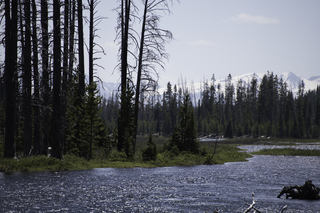 Filename=DSC_1227.jpg
Filesize=19205KiB
Dimensions=7360x4912
Date added=Sep 20, 2019 DSC_1227.jpg