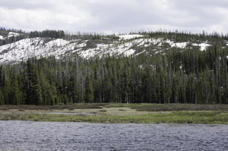 Filename=DSC_1228.jpg
Filesize=23487KiB
Dimensions=7360x4912
Date added=Sep 20, 2019 DSC_1228.jpg