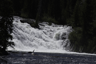 Filename=DSC_1229.jpg
Filesize=19751KiB
Dimensions=7360x4912
Date added=Sep 20, 2019 DSC_1229.jpg