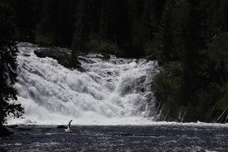 Filename=DSC_1232.jpg
Filesize=19881KiB
Dimensions=7360x4912
Date added=Sep 20, 2019 DSC_1232.jpg