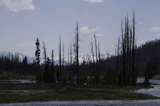 Filename=DSC_1234.jpg
Filesize=15792KiB
Dimensions=7360x4912
Date added=Sep 20, 2019 DSC_1234.jpg