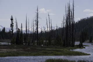 Filename=DSC_1236.jpg
Filesize=19225KiB
Dimensions=7360x4912
Date added=Sep 20, 2019 DSC_1236.jpg