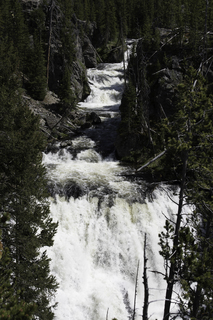 Filename=DSC_1237.jpg
Filesize=20788KiB
Dimensions=4912x7360
Date added=Sep 20, 2019 DSC_1237.jpg